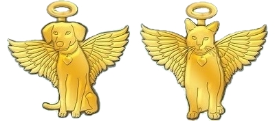 Gold Angel Pins