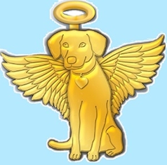 Gold Dog Angel Pins